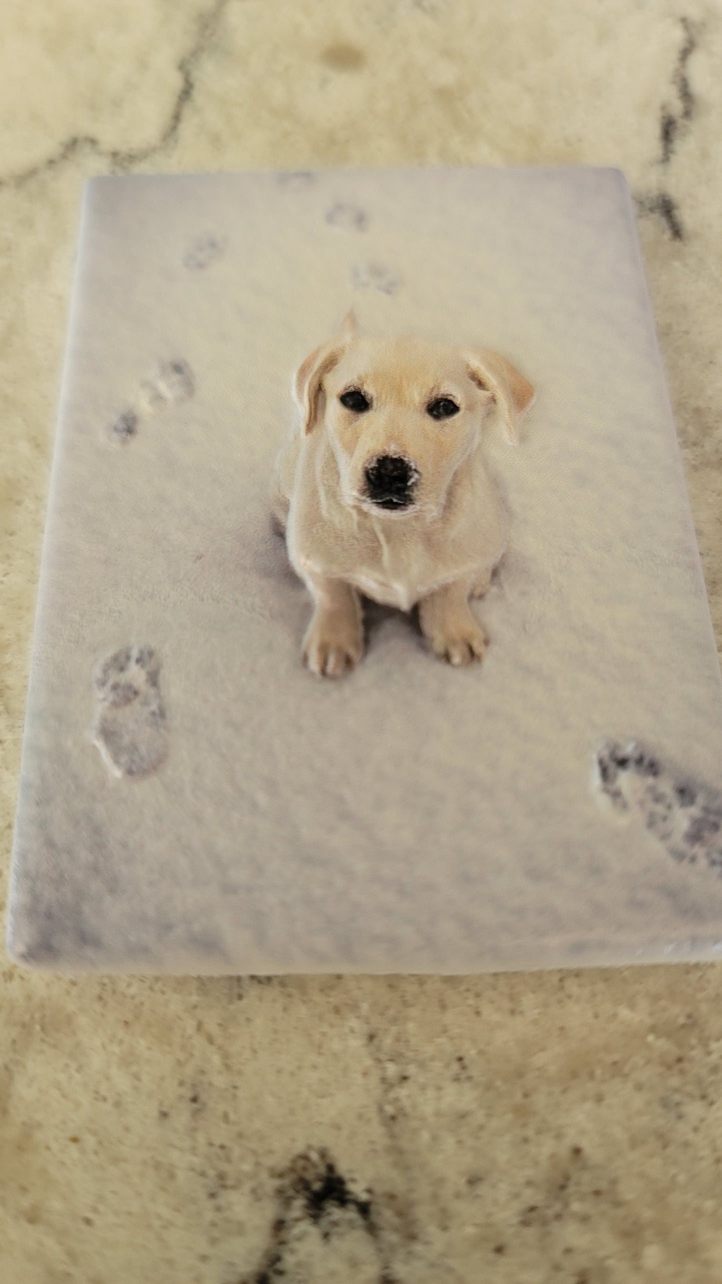 Custom Fridge Magnet